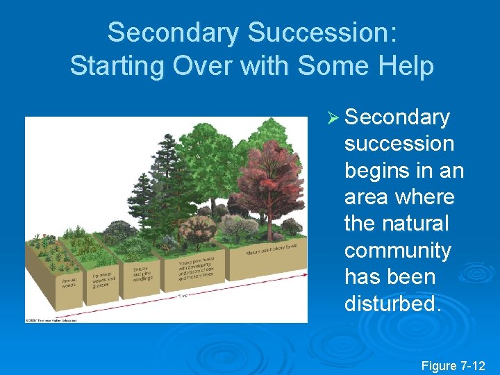 Secondary Succession: Starting Over with Some Help Ø Secondary succession begins in an area