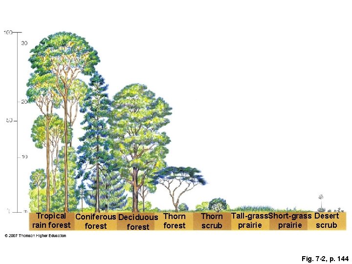 Tropical Coniferous Deciduous Thorn rain forest Thorn scrub Tall-grass. Short-grass Desert scrub prairie Fig.