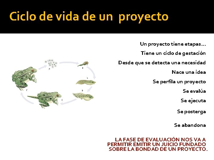 Ciclo de vida de un proyecto Un proyecto tiene etapas… Tiene un ciclo de