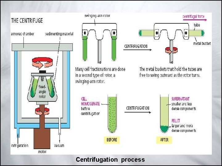 Centrifugation process 