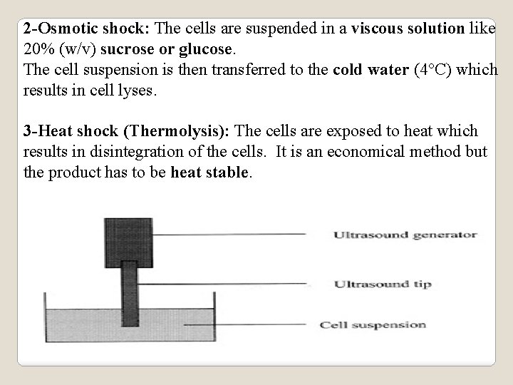 2 -Osmotic shock: The cells are suspended in a viscous solution like 20% (w/v)