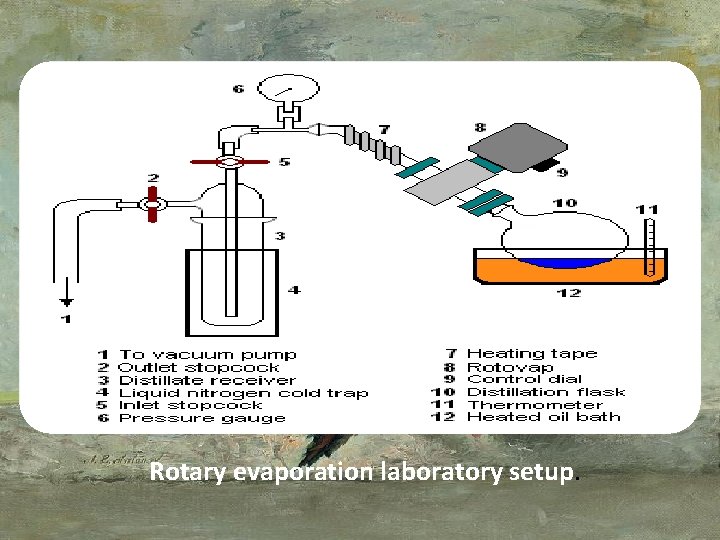 Rotary evaporation laboratory setup. 