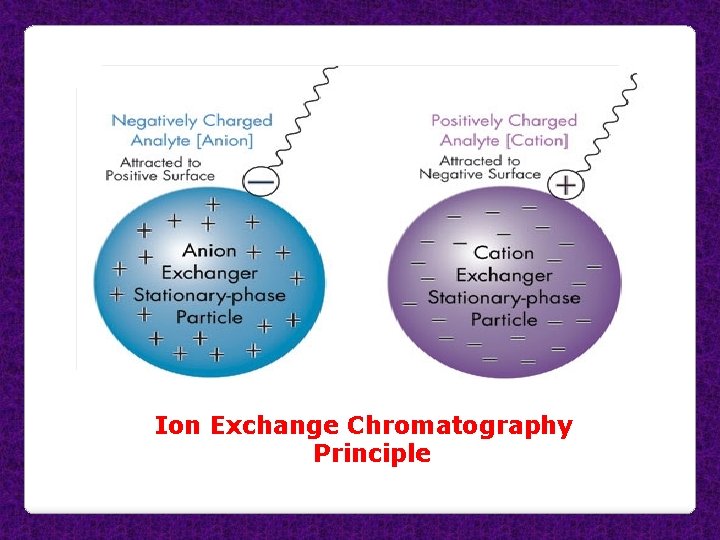 Ion Exchange Chromatography Principle 