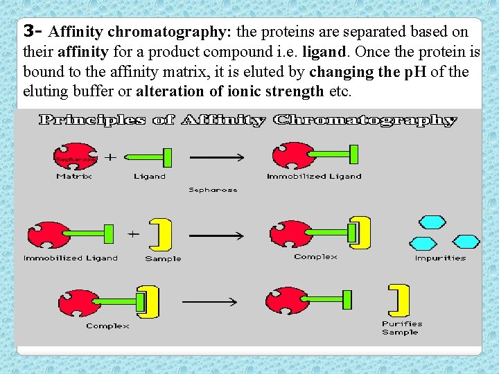 3 - Affinity chromatography: the proteins are separated based on their affinity for a