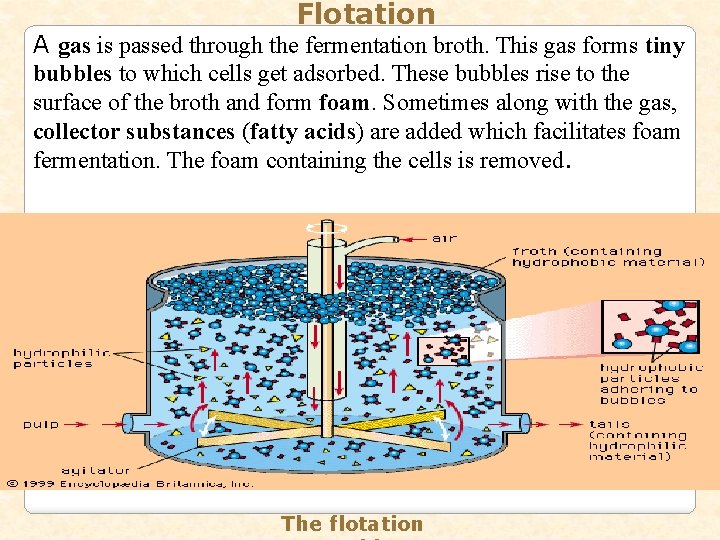 Flotation A gas is passed through the fermentation broth. This gas forms tiny bubbles
