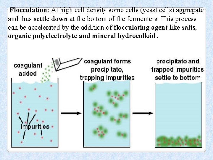 Flocculation: At high cell density some cells (yeast cells) aggregate and thus settle down
