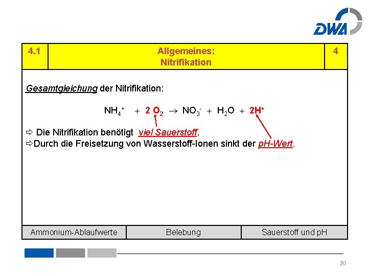 4. 1 Allgemeines: Nitrifikation 4 Gesamtgleichung der Nitrifikation: NH 4+ 2 O 2 NO