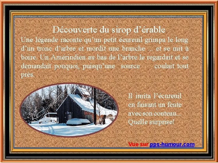 Découverte du sirop d’érable Une légende raconte qu’un petit écureuil grimpa le long d’un