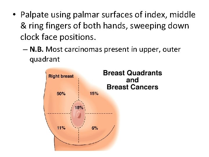  • Palpate using palmar surfaces of index, middle & ring fingers of both