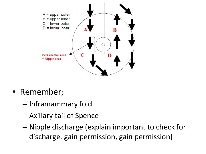  • Remember; – Inframammary fold – Axillary tail of Spence – Nipple discharge
