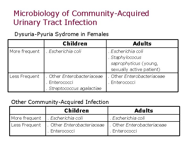 Microbiology of Community-Acquired Urinary Tract Infection Dysuria-Pyuria Sydrome in Females Children Adults More frequent Microbiology of Community-Acquired Urinary Tract Infection Dysuria-Pyuria Sydrome in Females Children Adults More frequent