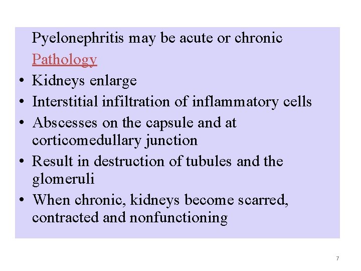 • • • Pyelonephritis may be acute or chronic Pathology Kidneys enlarge Interstitial • • • Pyelonephritis may be acute or chronic Pathology Kidneys enlarge Interstitial