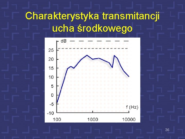 Charakterystyka transmitancji ucha środkowego 36 