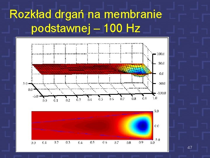 Rozkład drgań na membranie podstawnej – 100 Hz 47 