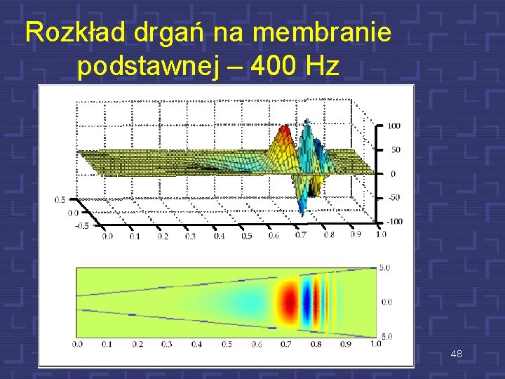 Rozkład drgań na membranie podstawnej – 400 Hz 48 