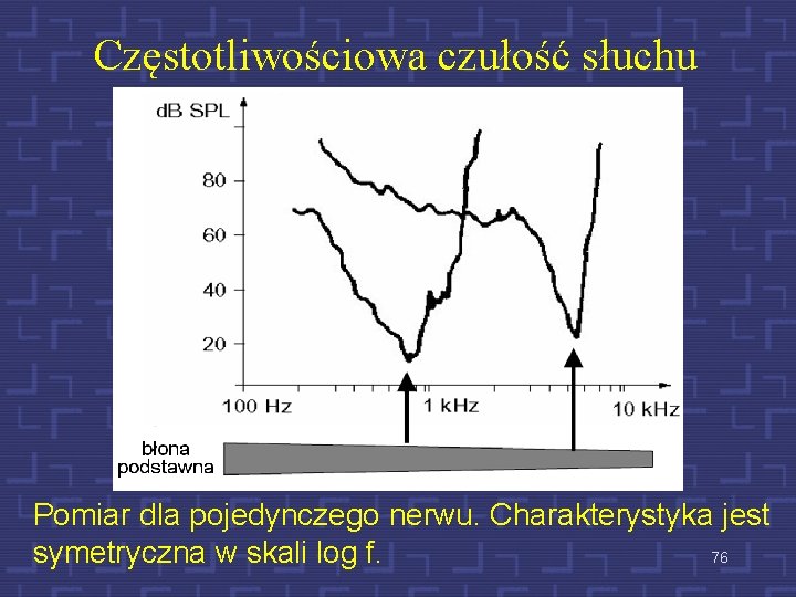 Częstotliwościowa czułość słuchu Pomiar dla pojedynczego nerwu. Charakterystyka jest symetryczna w skali log f.