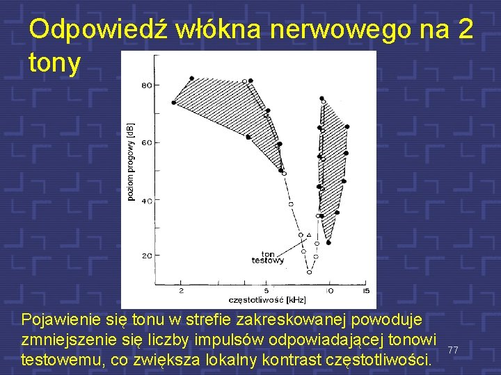 Odpowiedź włókna nerwowego na 2 tony Pojawienie się tonu w strefie zakreskowanej powoduje zmniejszenie