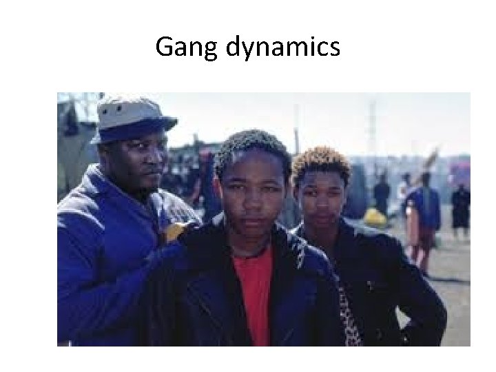 Gang dynamics 