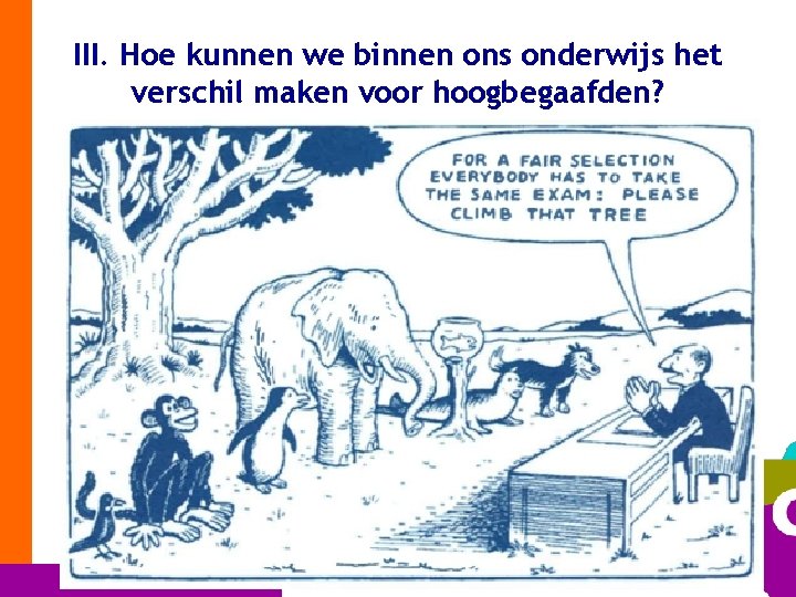 III. Hoe kunnen we binnen ons onderwijs het verschil maken voor hoogbegaafden? 