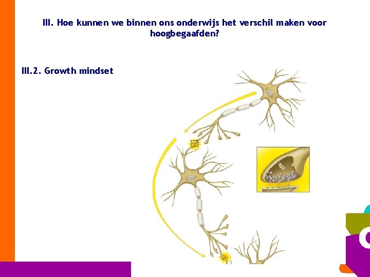 III. Hoe kunnen we binnen ons onderwijs het verschil maken voor hoogbegaafden? III. 2.