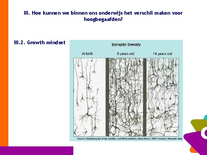 III. Hoe kunnen we binnen ons onderwijs het verschil maken voor hoogbegaafden? III. 2.