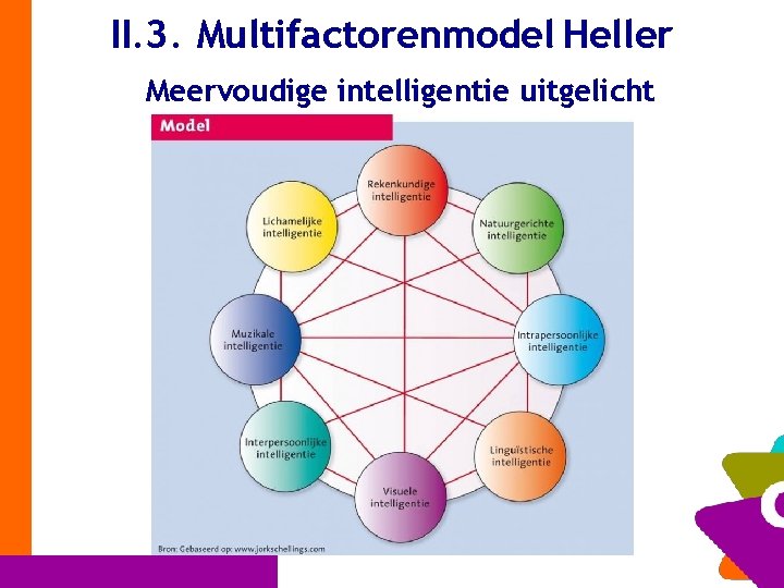 II. 3. Multifactorenmodel Heller Meervoudige intelligentie uitgelicht 