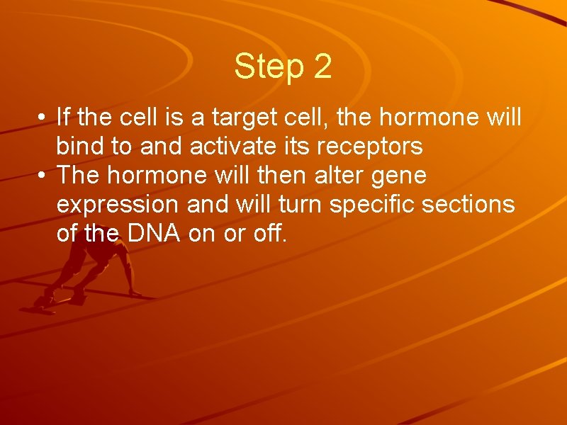 Step 2 • If the cell is a target cell, the hormone will bind