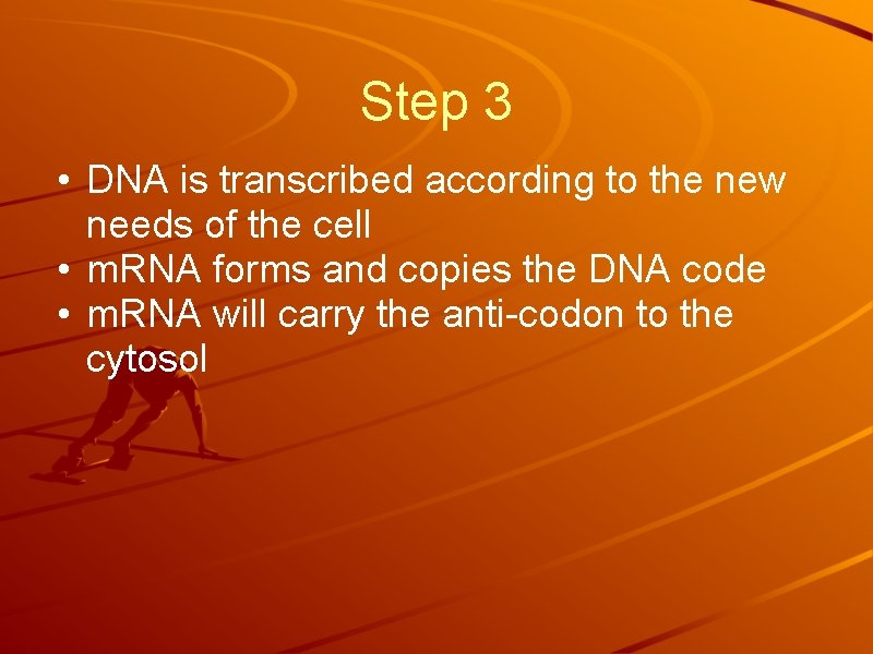 Step 3 • DNA is transcribed according to the new needs of the cell