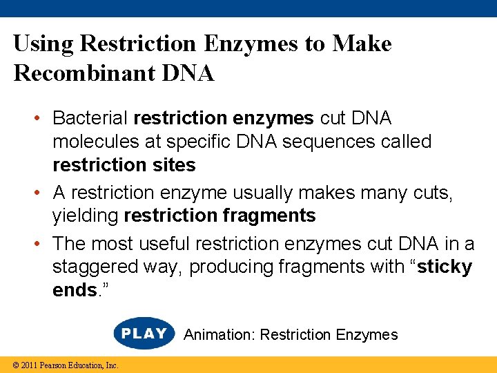 Using Restriction Enzymes to Make Recombinant DNA • Bacterial restriction enzymes cut DNA molecules