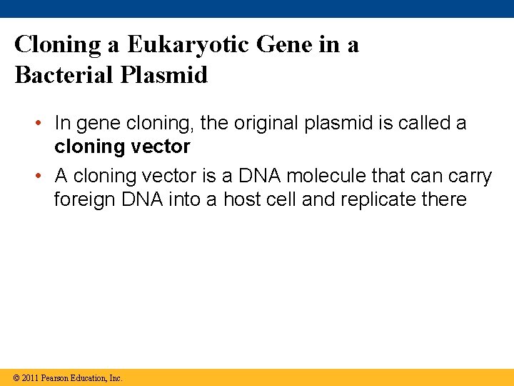 Cloning a Eukaryotic Gene in a Bacterial Plasmid • In gene cloning, the original