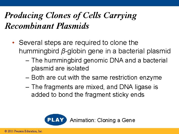 Producing Clones of Cells Carrying Recombinant Plasmids • Several steps are required to clone