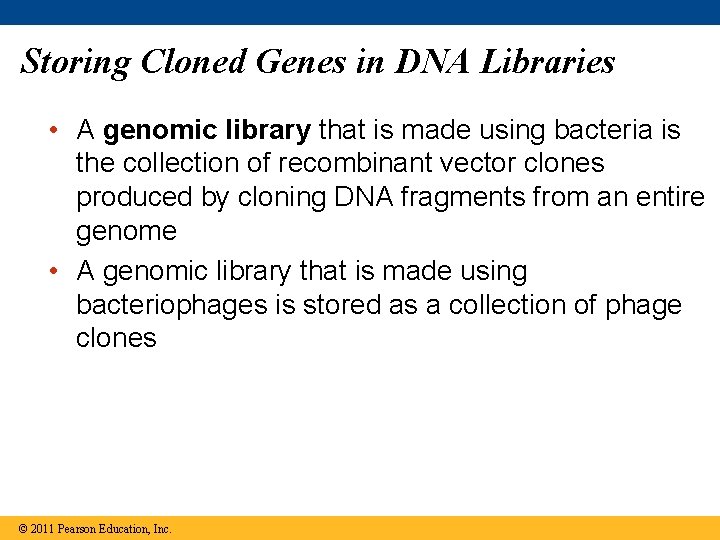 Storing Cloned Genes in DNA Libraries • A genomic library that is made using