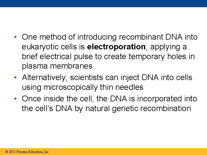 • One method of introducing recombinant DNA into eukaryotic cells is electroporation, applying