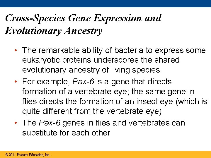 Cross-Species Gene Expression and Evolutionary Ancestry • The remarkable ability of bacteria to express