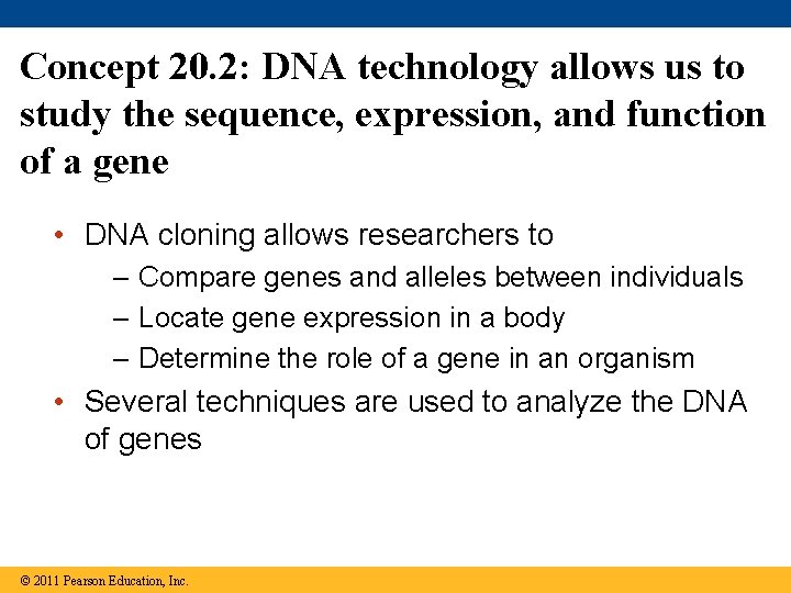 Concept 20. 2: DNA technology allows us to study the sequence, expression, and function