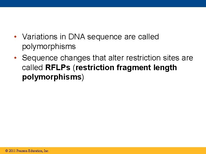  • Variations in DNA sequence are called polymorphisms • Sequence changes that alter