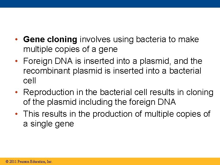  • Gene cloning involves using bacteria to make multiple copies of a gene