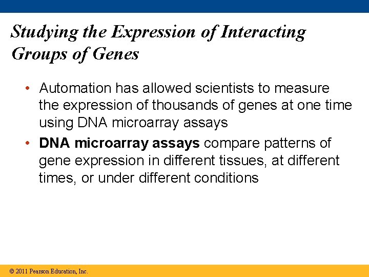 Studying the Expression of Interacting Groups of Genes • Automation has allowed scientists to