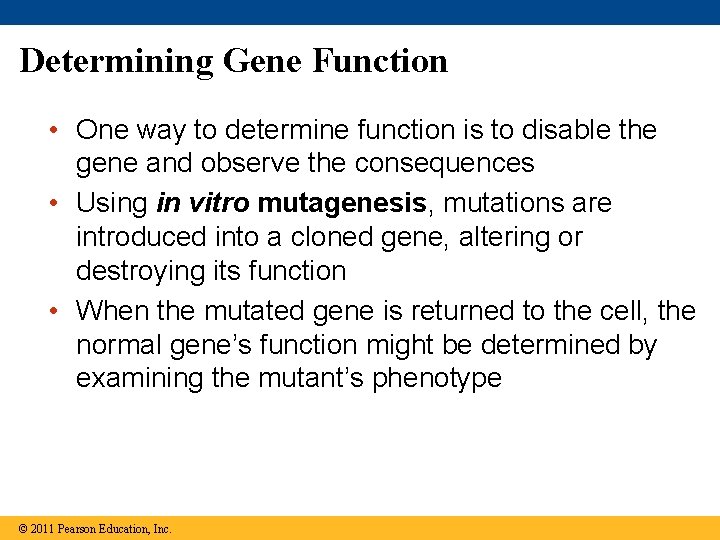 Determining Gene Function • One way to determine function is to disable the gene