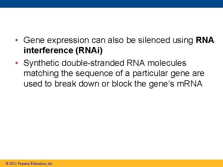  • Gene expression can also be silenced using RNA interference (RNAi) • Synthetic