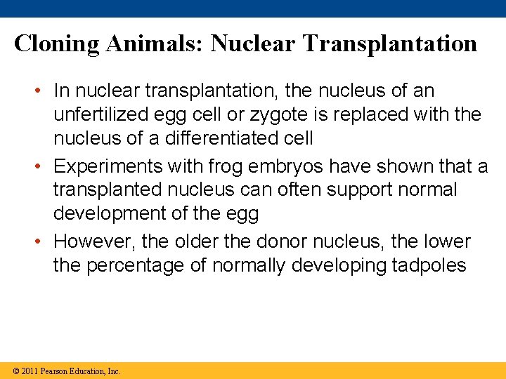 Cloning Animals: Nuclear Transplantation • In nuclear transplantation, the nucleus of an unfertilized egg