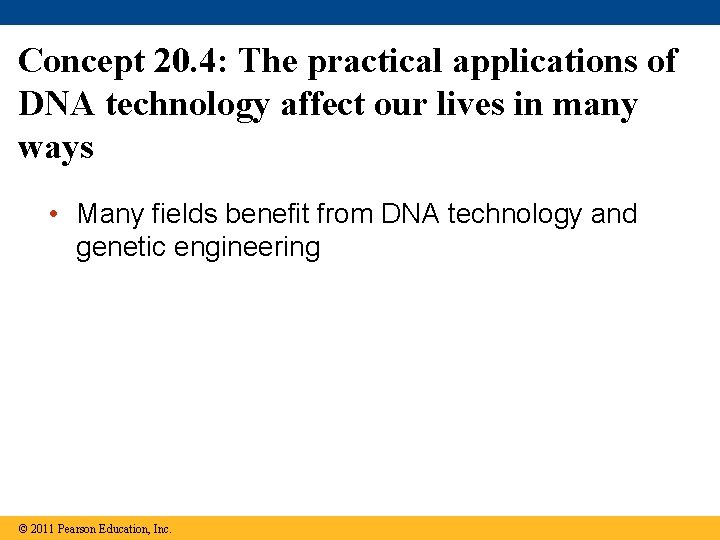 Concept 20. 4: The practical applications of DNA technology affect our lives in many