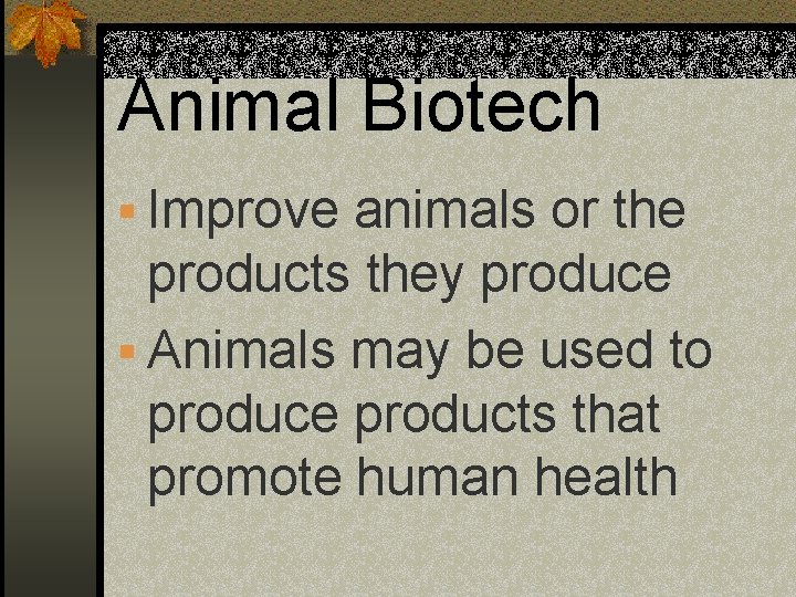 Animal Biotech § Improve animals or the products they produce § Animals may be