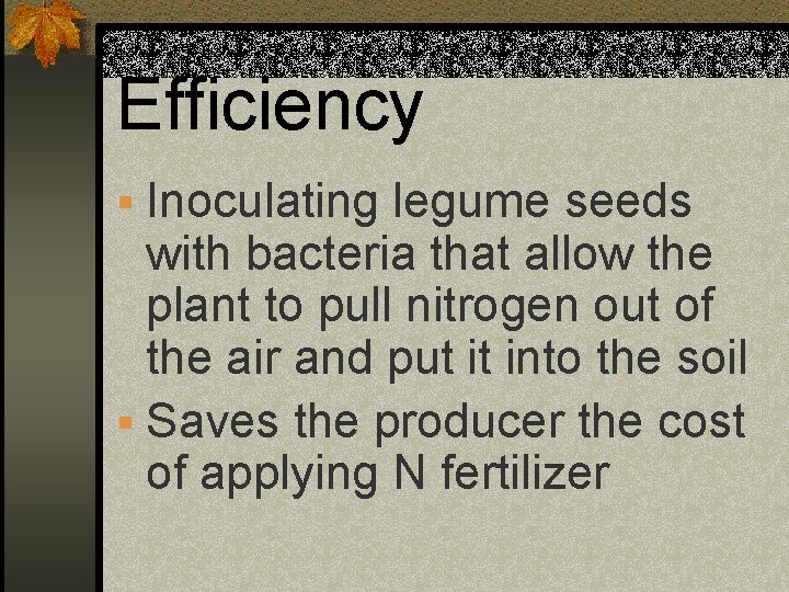 Efficiency § Inoculating legume seeds with bacteria that allow the plant to pull nitrogen