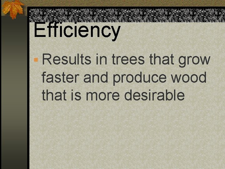 Efficiency § Results in trees that grow faster and produce wood that is more