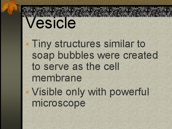 Vesicle § Tiny structures similar to soap bubbles were created to serve as the