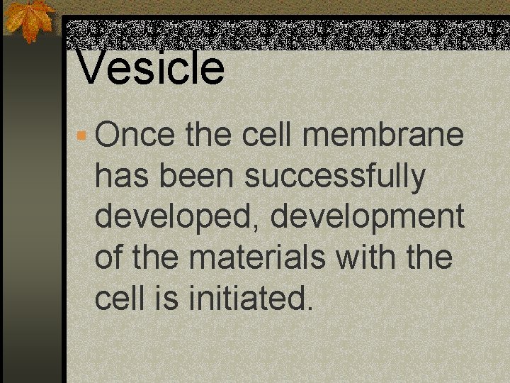 Vesicle § Once the cell membrane has been successfully developed, development of the materials