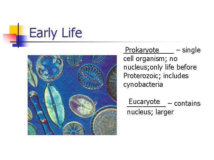 Early Life _______ Prokaryote – single cell organism; no nucleus; only life before Proterozoic;