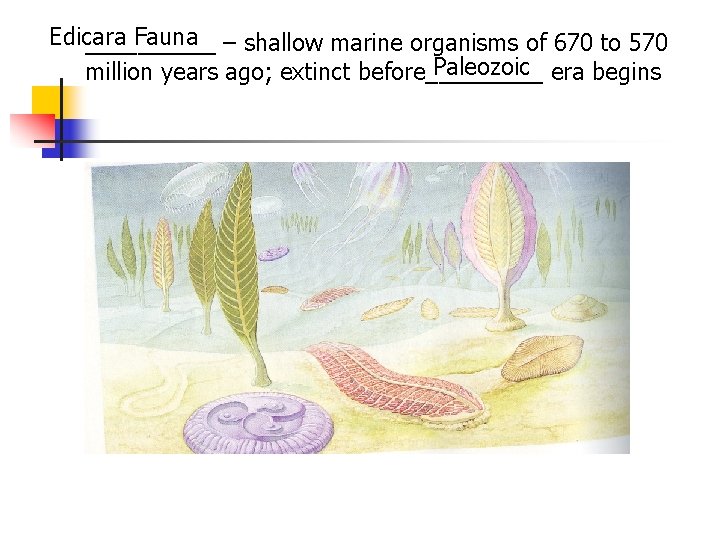 Edicara Fauna – shallow marine organisms of 670 to 570 _____ Paleozoic era begins