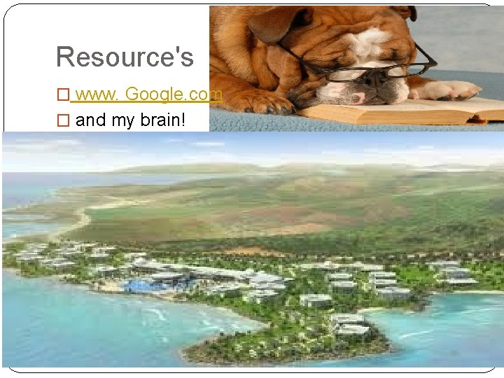 Resource's � www. Google. com � and my brain! 